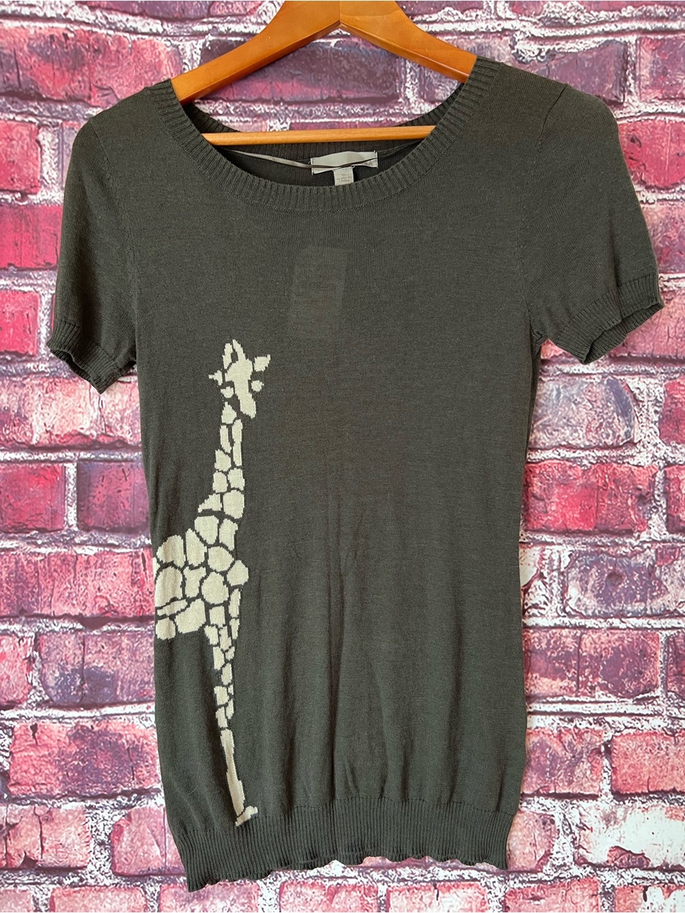 One A Olive Green Giraffe Knit Short Sleeve Top
